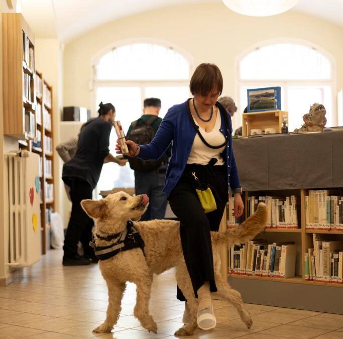 Anna Burdová a vodicí fenka Dixie nacvičují prvky z dog dancingu v prostorách knihovny.