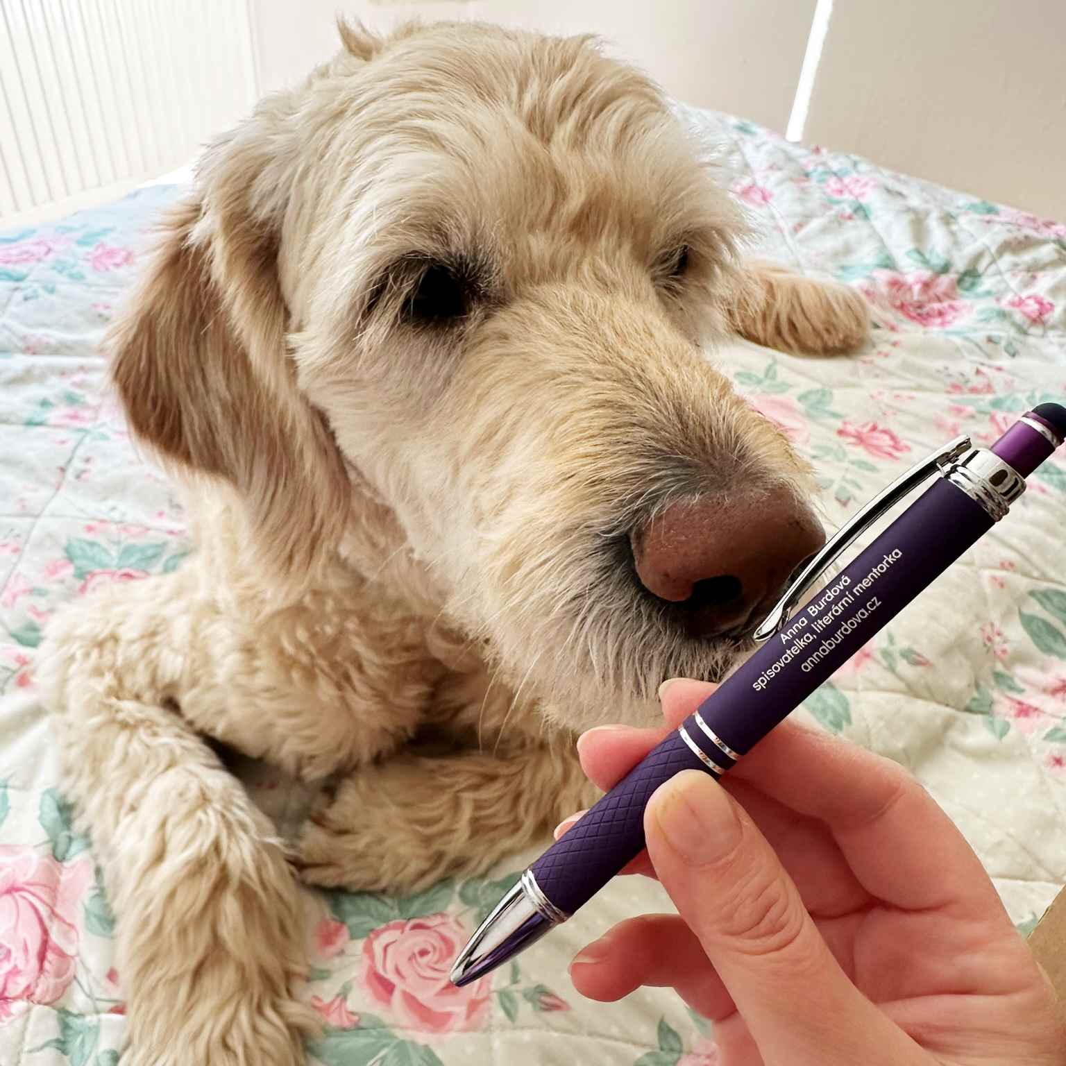 Propiska s vizitkou - spisovatelka Anna Burdová